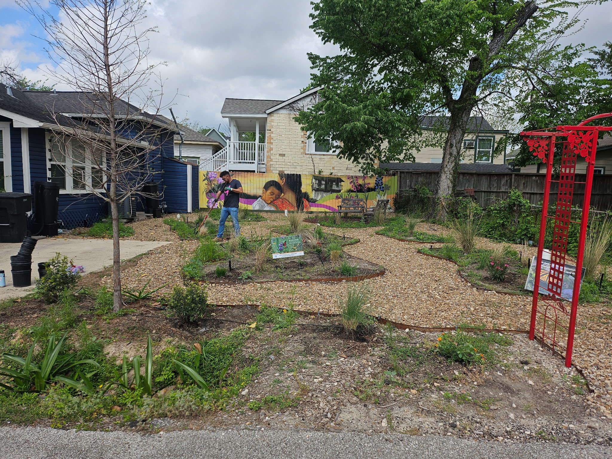 Today gardening at Eastend, Houston. Beautiful day, so much 